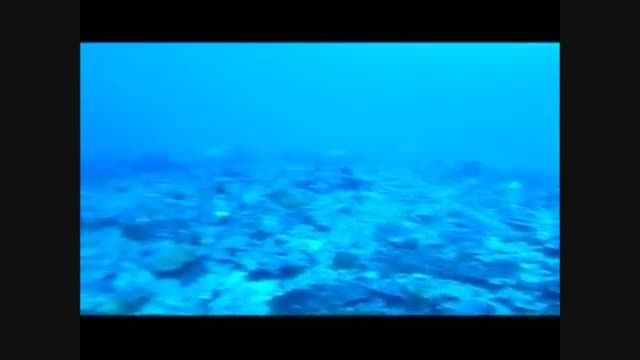 ویدیویی از جزیره زیبای فراسر در استرالیا