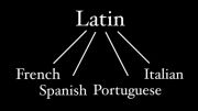 جایگاه لاتین در زبانهای هند و اروپایی