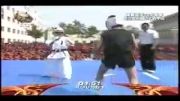 مبارزه کونگ فو و کاراته