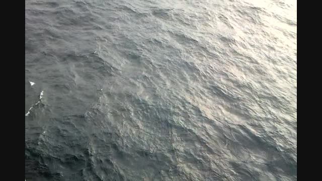 موج های خروشان  در دل دریای خلیج فارس در عمق 90 متری