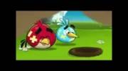 Angry Birds 05