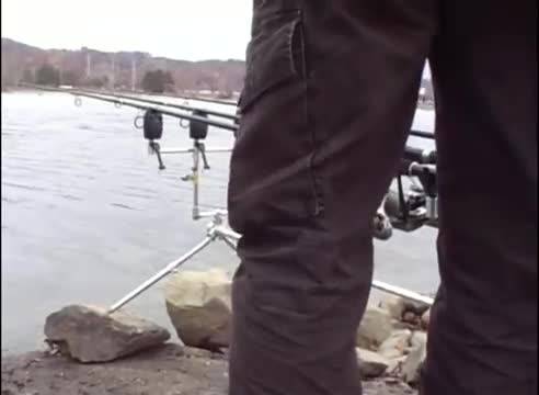صید کپورهای بزرگ توسط قلاب