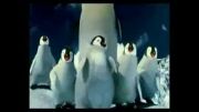 اهنگ فارسی پنگوئن ها خیلی جالبه !!