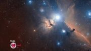 the horsehead nebula HD