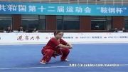 ووشو ، مسابقات داخلی چین فینال نن چوون