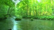 ویدئو ارامش بخش از رودخانه -Full HD