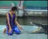 خورده شدن دست توسط تمساح