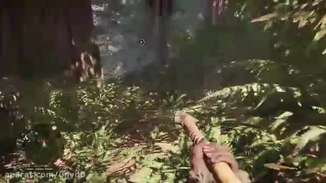 wildcat farcry 4