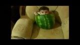 کودک داخل هندوانه -طنز