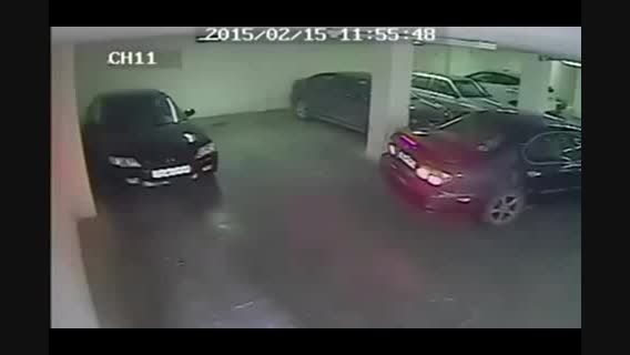 واقعا این راننده قصد پارک کردن داشت؟