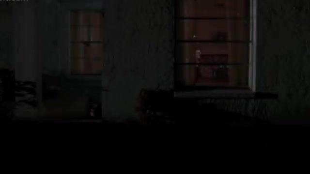 Edward Scissorhands Horror Recut Trailer