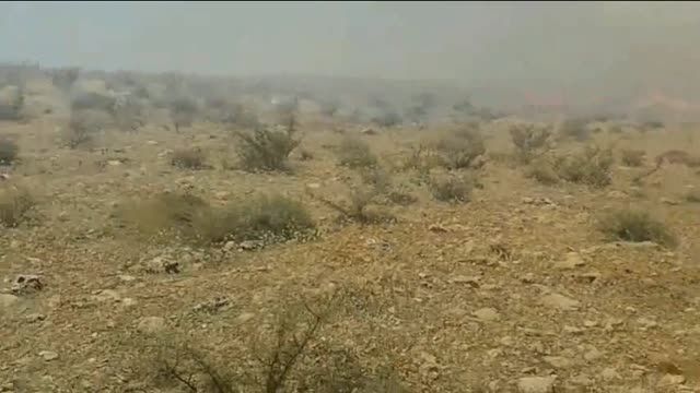 تلاش برای مهار آتشسوزی در پارک ملی بمو - شیراز