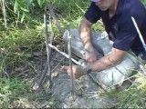 How to make a primitive trap: the t-bar snare (wilderness survival traps) - YouTube