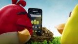 angry birds video