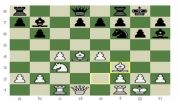 شطرنج Dzindzichashvili  chess