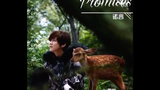 LuHan_Promices