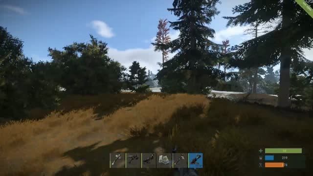 My second gameplay in Rust Experimental