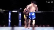 UFC : بازگشت اندرسون سیلوا