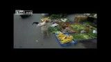 فیلمی جالب از سگی که مرغ و خروس می فروشد