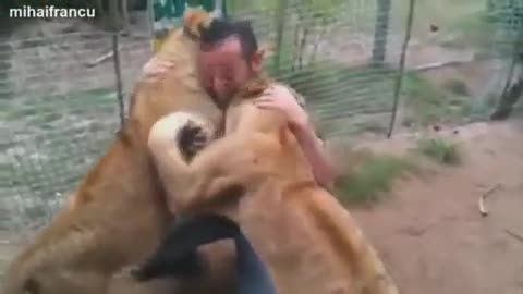 شیر ها انسانان را بغل میکنند