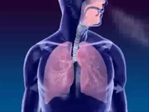 دستگاه تنفسی(انیمیشن 3بعدی)