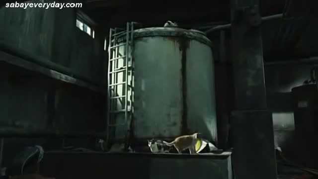 فیلم کره ای گربه (ترسناک) قسمت آخر