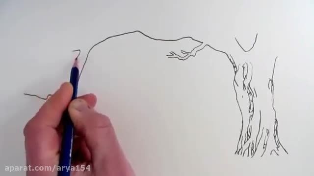 how to draw trees