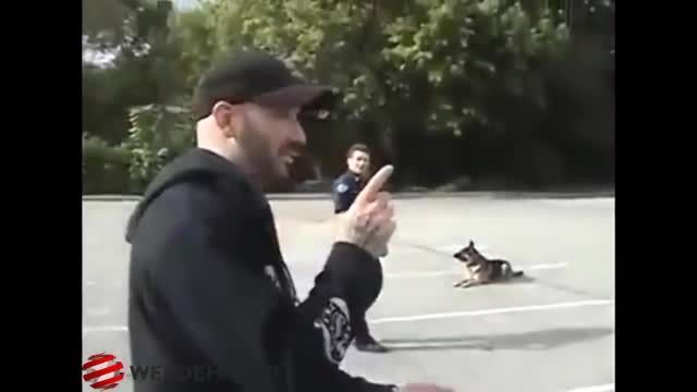 سگ های پلیس های خارجی!!!