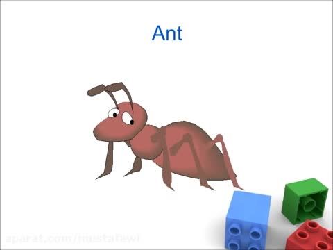 آموزش زبان انگلیسی به کودکان (نام حشرات) 2