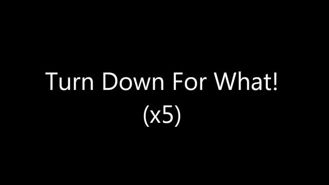 DJ Snake feat. Lil Jon - Turn Down For What