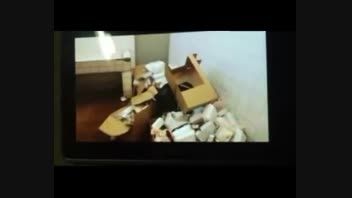 فیلم لو رفته از داخل زندانی بدنام در بحرین