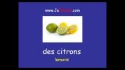 آموزش زبان فرانسه ( Plural of Articles and nouns )