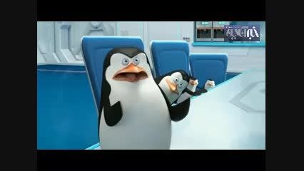 وقتی پنگوئن های ماداگاسکار،مامور مخفی می شوند!!!!!!!!!!