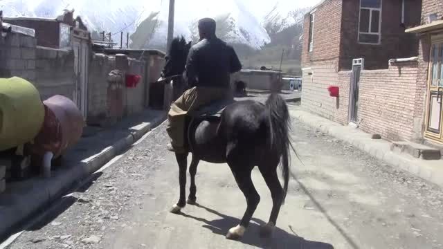 اسب رقاص پیرانشهر