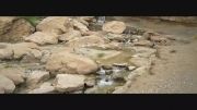 آبشار دره آبشتا (گیسو)