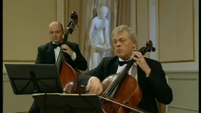 Mozart,Serenade in G major,K.525 III.Menuetto.Allegreto