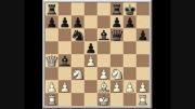 مسابقه ای که 39 سال پیش، قهرمان شطرنج ایران را مشخص کرد