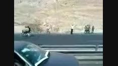 تصادف مرگبار اتوبوس دانشجویان در جاده شیراز