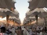 باز شدن چترهای مسجد النبی
