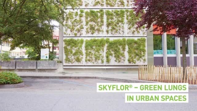 فناوری معماری دیوار سبز skyflor