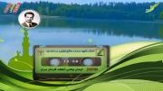 شیخ ضیایی - ایمان یعنی تعهد و فرمان بری ...