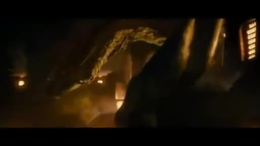 The Hobbit - The Desolation of The Smaug