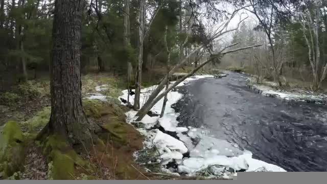 ویدئو 180 درجه از یک روخانه برفی زیبا(همراه با صدا)