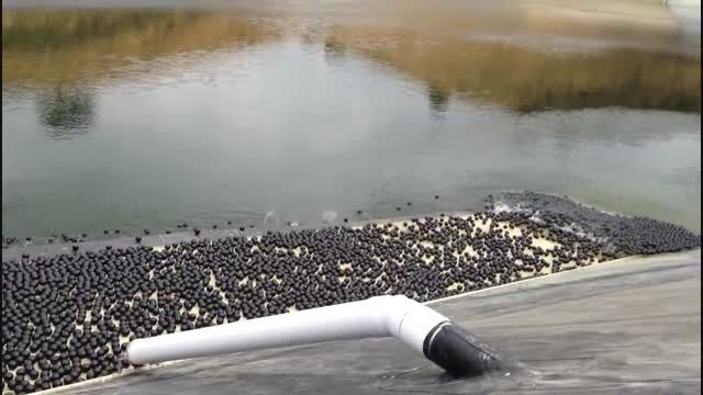 توپ های مشکی در مخازن آب کالیفرنیا