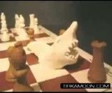 شطرنج خمیری