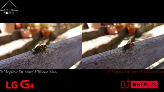 OnePlus2 vs LG G4 _Camera Comparison
