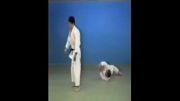Yoko Guruma - 65 Throws of Kodokan Judo