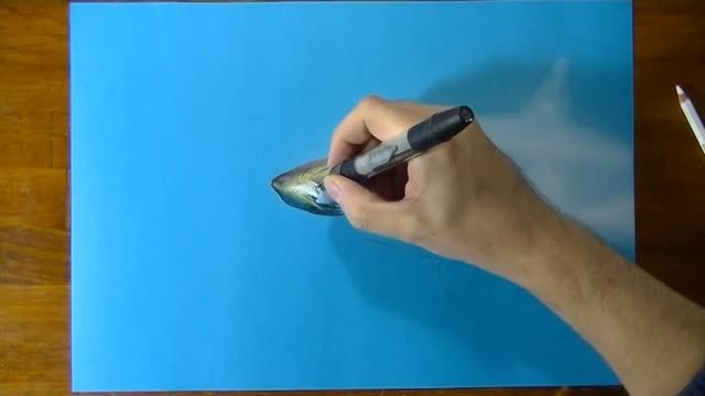 Drawing Time Lapse-Shark