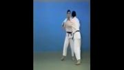 Harai Goshi - 65 Throws of Kodokan Judo