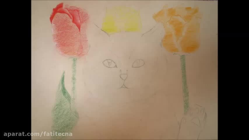 نقاشی مداد رنگی بچه گربه kitten